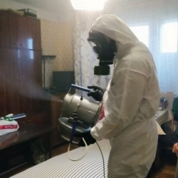 Дезинфекция от клопов в Большевике