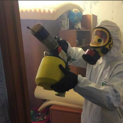 Уничтожение клопов в квартире. Большевик